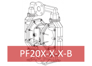 PF20X-X-X-B
