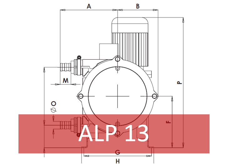 ALP 13