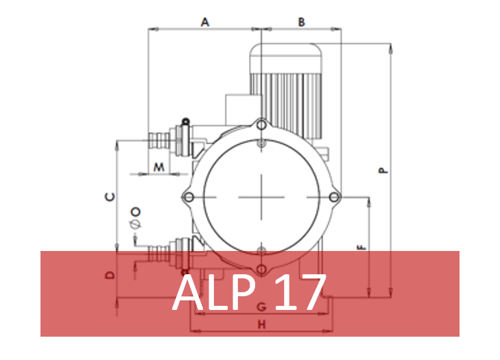 ALP17